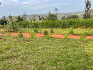 Akagera Able Lodge - - 2