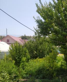 Guest house USMAN - Kazarman - 6