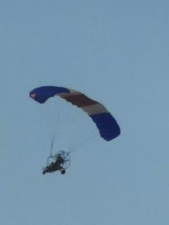 الهافمون - Al Khobar - 1