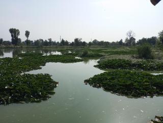 House boats Noor palace - 3