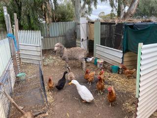 Smudges Shack - - 4