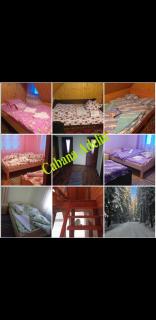 Cabana Adelin - Dealu Frumos - 4