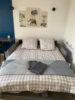 Charming Studio Close to Tram A Palais de Justice - 4