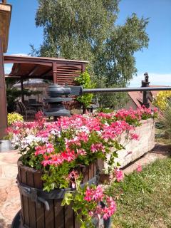Chez Yolande - Nothalten - 0