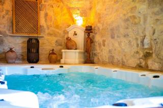 La Fontaine Dorée - Jacuzzi, Piscine & Vue - Les Jacons - 8