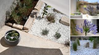 SECRET GARDEN Komiza - 1