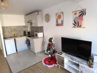 Bel Appartement Terracotta au cœur de Narbonne - 2