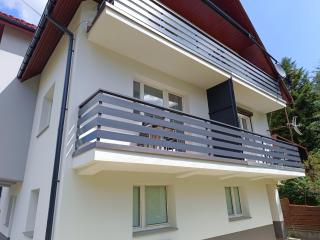 Apartament nad Gorczańskim Strumieniem - Koninki - 9