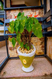 Ineza Hotel Musanze - Ruhengeri - 7