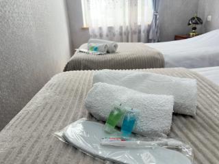 Chkalovka Guest House With Sevan View - Sevan - 1
