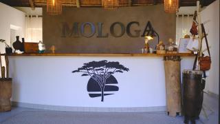 Mologa River Lodge - Rust de Winter - 4