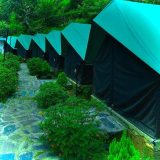 Venus Camping and resort Site - 4