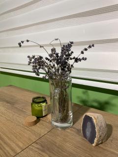 Cozy eco apartment - Niš - 1