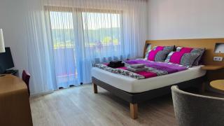 Haus Schanzenblick Gästezimmer5 mit Bad und Balkon mit Aussicht - Schonach - 7