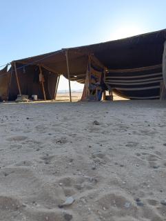 Ahmad and Fatima's Traditional Bedouin Camp - Al Ḩumaymah al Jadīdah - 2