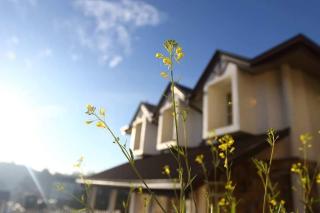 Hide Out Hills Bungalow - 4