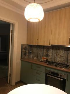 A newly renovated one bedroom apartment on Huseyn Javid Ave - 9