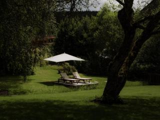 Boutique Hotel Mühle Schluchsee - Schluchsee - 4
