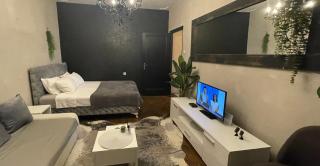 Okapi stays - Belgrade - 9