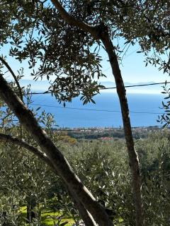 Harmony - Agia Marina Lesvos - 5