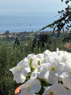 Harmony - Agia Marina Lesvos - 7