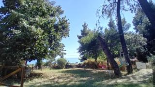 Villa Billys Dreams - Nea Skioni - 1