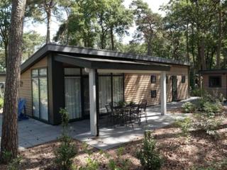 Bospark chalet 6p - Hardenberg - 0