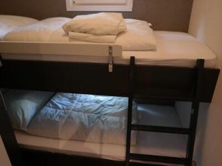 Bospark chalet 6p - Hardenberg - 8