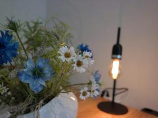 Bospark chalet 6p - Hardenberg - 4