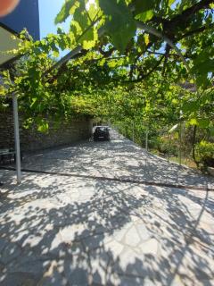 Fotis apartments - Qeparo - 5