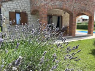 Istrian Villa Melany - Vodnjan - 7
