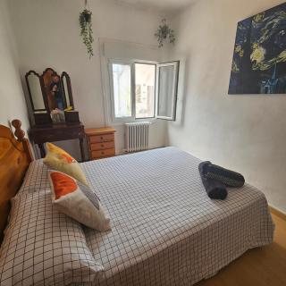 Casa Rural "AMARA" - Valtierra - 8