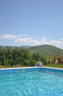 Villa ORSO - Mostar - 3