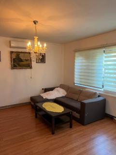 Kuća za exit - Novi Sad - 2