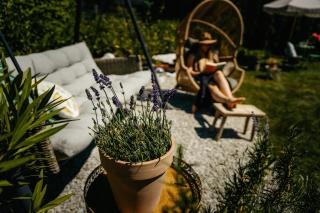 Apartmany pod Pustevnami - Prostřední Bečva - 9