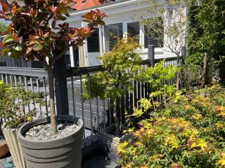 Pied á terre - Southbourne - 0