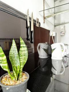 Frangipani House - Oruwala - 5