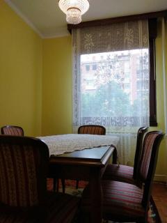 Beautiful five bedroom apartment - Novi Sad - 1