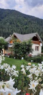 Casa Raluca - Bicaz Chei - 0