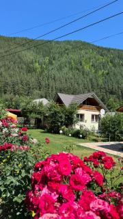 Casa Raluca - Bicaz Chei - 9