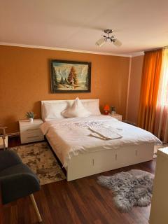 Casa Raluca - Bicaz Chei - 4