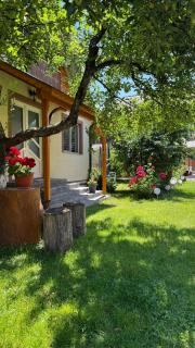 Casa Raluca - Bicaz Chei - 6