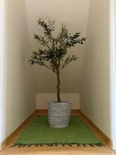 Casa Oliva Siófok - 3
