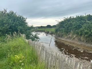 Studio 100 m from the beach! - Merville-Franceville-Plage - 4