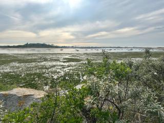 Studio 100 m from the beach! - Merville-Franceville-Plage - 3