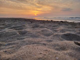 Studio 100 m from the beach! - Merville-Franceville-Plage - 2