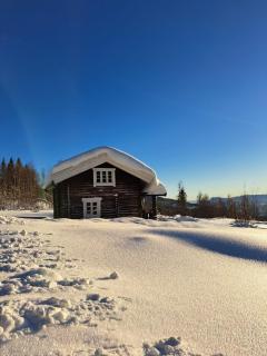 Beautiful place among forests and fields in a good old style - Eggedal - 3