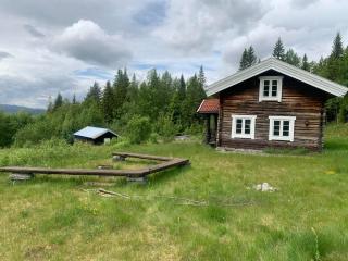Beautiful place among forests and fields in a good old style - 6