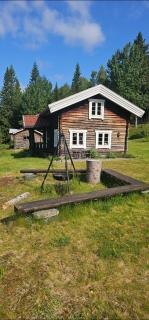 Beautiful place among forests and fields in a good old style - 5