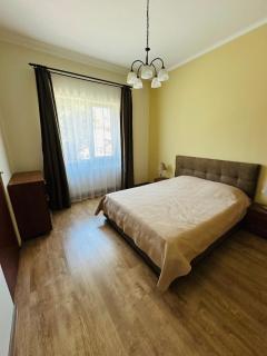 The Villa Suite - Arad - 5